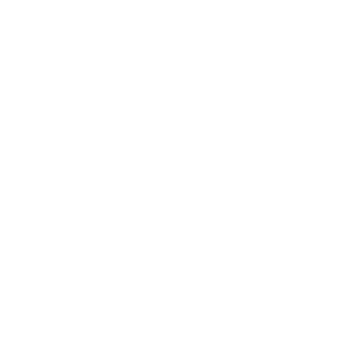 crane (1)